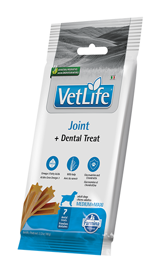 dental treat Joint medium & maxi